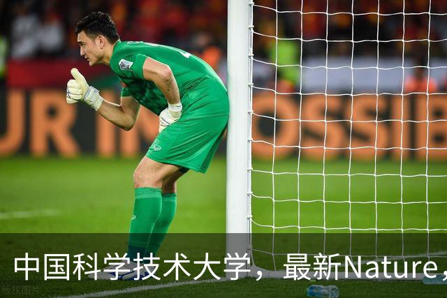 中国科学技术大学，最新Nature，首次合成！