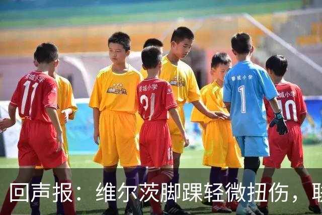 回声报：维尔茨脚踝轻微扭伤，联赛杯战切尔西成疑