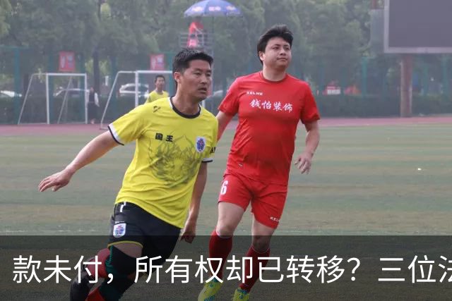 款未付，所有权却已转移？三位法学专家提出异议，陕西1200万元原煤追偿案申请再审
