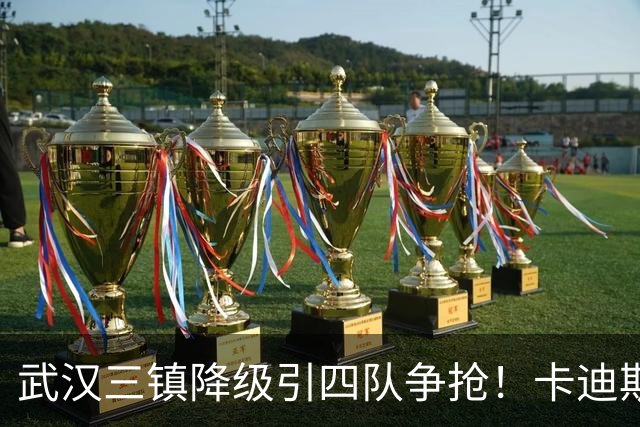 武汉三镇降级引四队争抢！卡迪斯进十几球仍将离队，海港点名补高中锋却被中甲年薪卡住