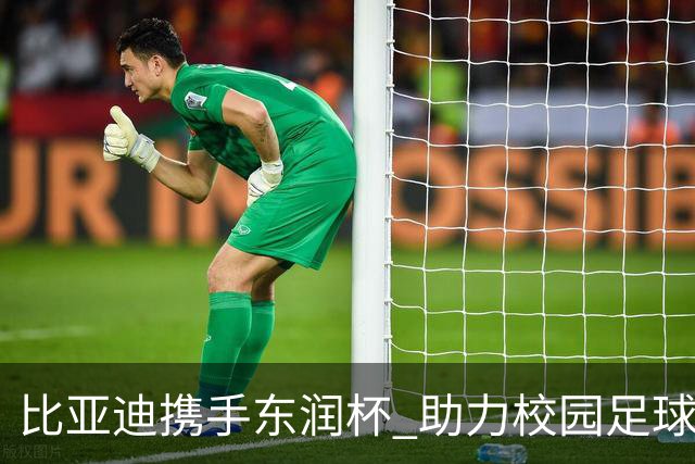 比亚迪携手东润杯 助力校园足球少年圆梦工体