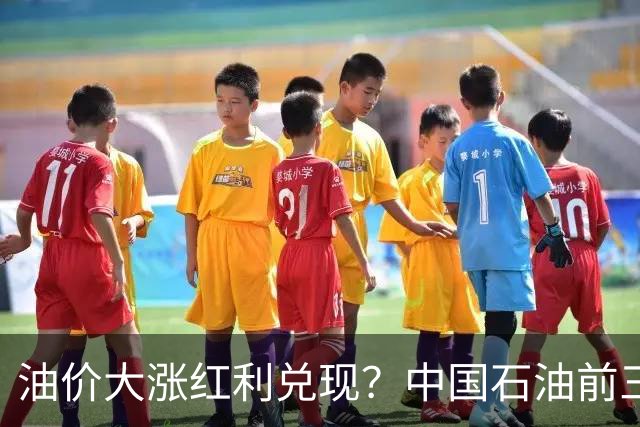 油价大涨红利兑现？中国石油前三季净利达1558亿元，同比增长22%