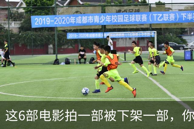 这6部电影拍一部被下架一部，你有幸看过哪几部？